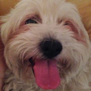 Meet your Posher, Timothy